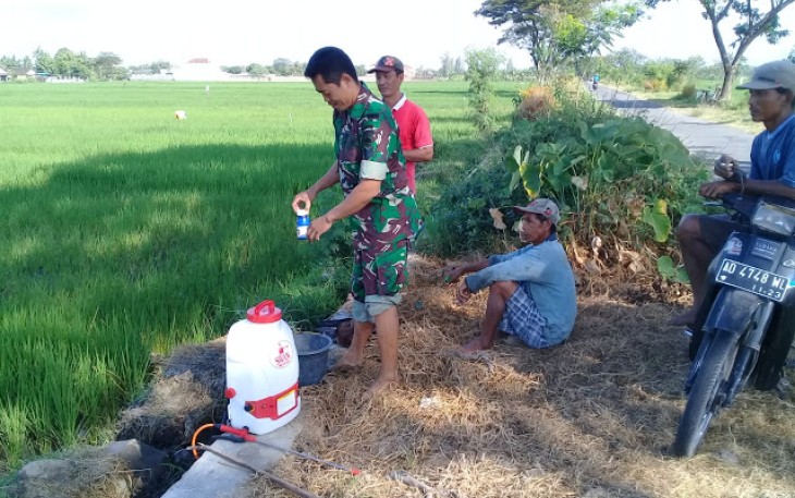 Serma Winarno Babinsa Koramil 17 Karangdowo