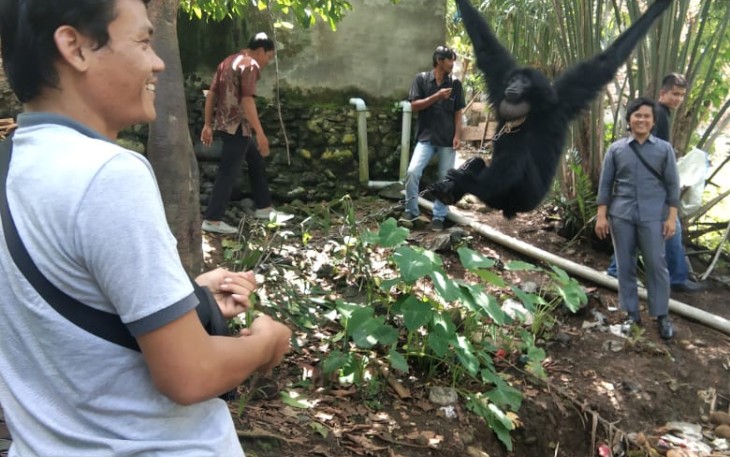 Polisi Amankan Hewan Dilindungi