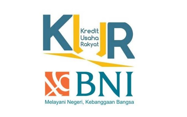 KUR BNI