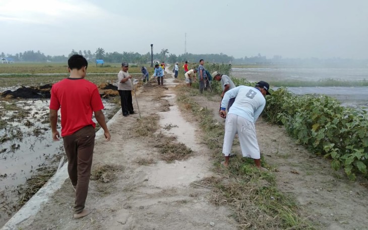 Gotong Royong Massal