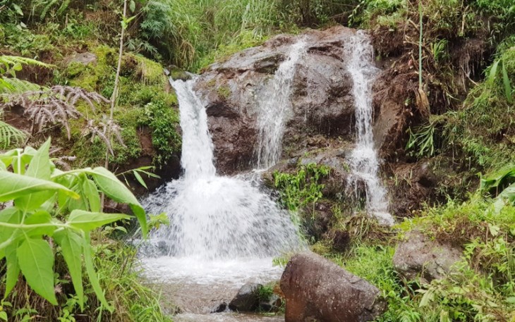 Kawasan wisata pendakian Gunung Slamet