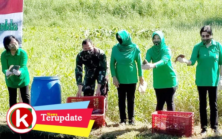 Ketua Persit KCK PD XIII/Merdeka Berkunjung ke Kolam Ikan dan Kebun Persit KCK PD XIII/Merdeka