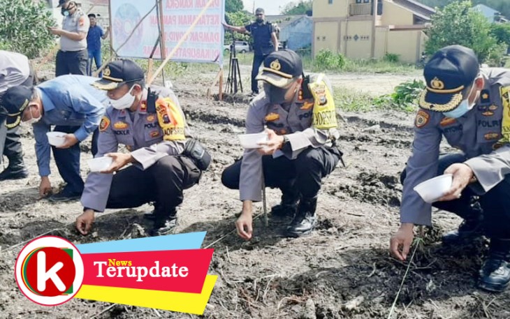 Kapolres Kampar dan sejumlah Pejabat Utama Polres Kampar lakukan penanaman bibit jagung dan cabe