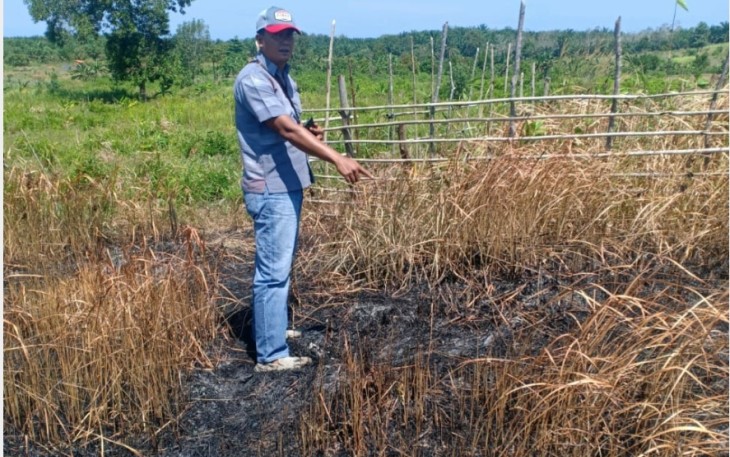 Polres Seluma Polda Bengkulu Temukan Lahan Terbakar di Desa Lunjul
