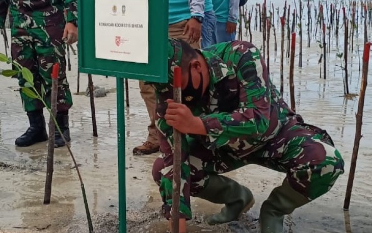 Dandim 0315/Bintan Ikut Tanam Bibit Magrove di Pantai Trikora V Kabupaten Bintan
