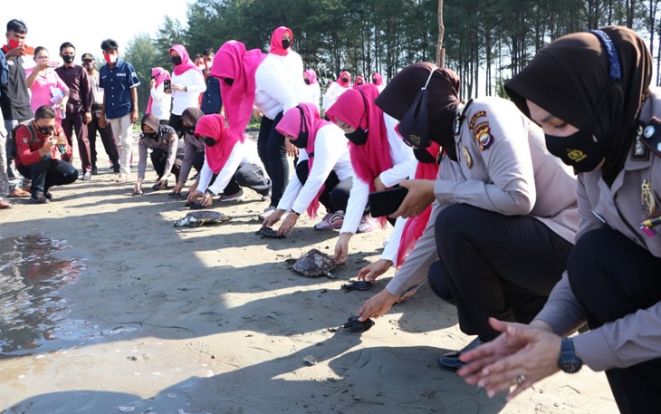Polwan Bersama Bhayangkari Daerah Bengkulu Lepas Tukik dan Bhakti Sosial di Pantai Pekik Nyaring