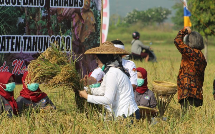 Bupati Purwakarta Anne Ratna Mustika. (Foto/KlikWarta)