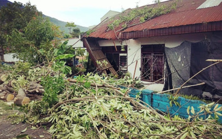 Pohon Tumbang Timpa Rumah Warga 