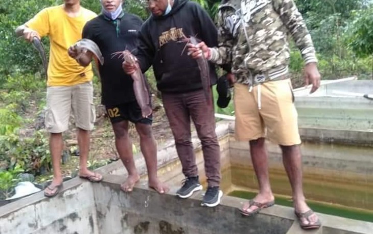 mahasiswa Papua ikut pelatihan dan panen ternak lele