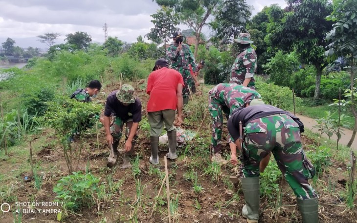 Kolonel Inf Jefson Marisano Dansektor 7 Satgas Citarum Harum bersama anggota Sub Sektor Andir serta warga masyarakat setempat melaksanakan kegiatan panen bawang merah bertempat di Subsektor Andir Kecamatan Baleendah Kabupaten Bandung, Selasa (6/4/2021).
