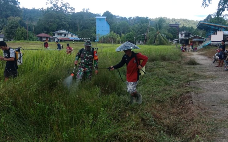 Peduli Sarana Olahraga di Wilayah Binaan, Babinsa Koramil 1206 - 17/Silat Hilir Bersama Warga Bersihkan Lapangan Bola Kaki.