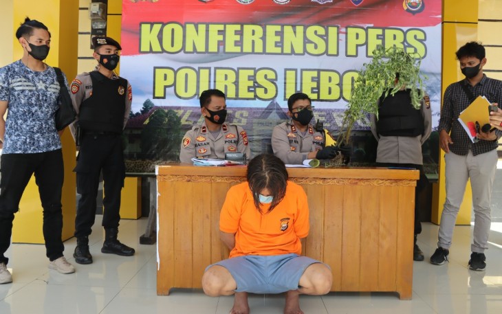 Dari Pelaku KDRT, Polisi Berhasil Ungkap Kebun Ganja Dibalik Tanaman Cabai
