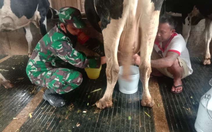 Foto Dok 