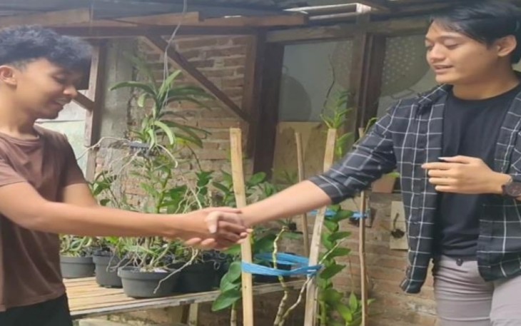 UMKM Budidaya Tanaman Anggrek