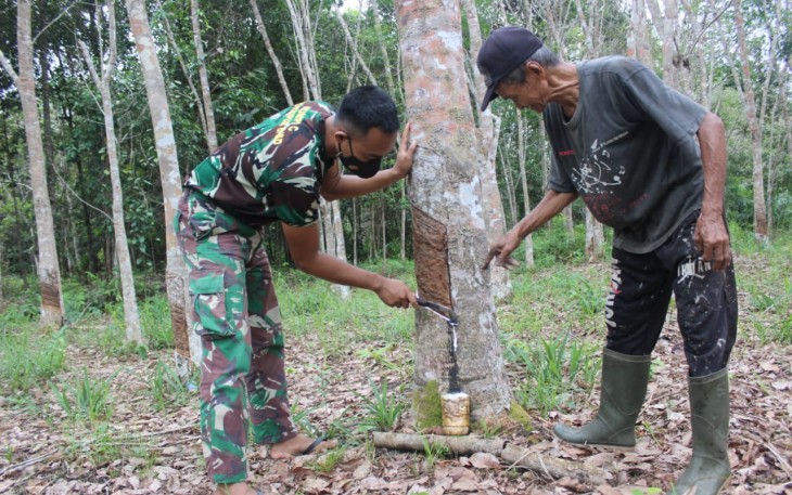 Personel TMMD Belajar Nyadap Karet di Desa Kampuri