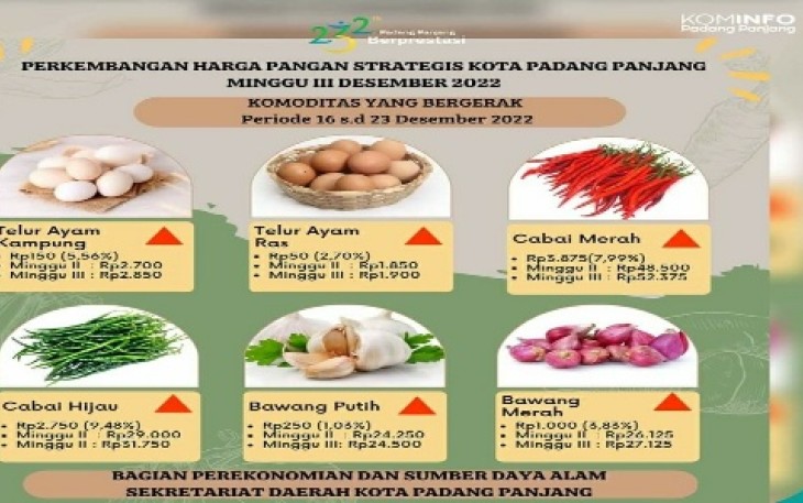 Dinas Kominfo Kota Padang Panjang.