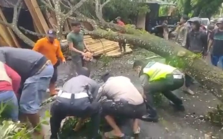 Polres Kepahiang Bersama BPBD Evakuasi Pohon Tumbang