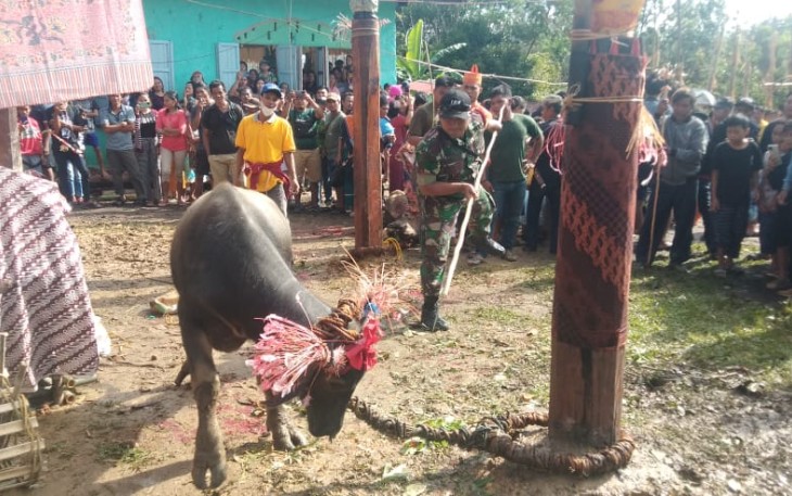 Ritual Adat Tiwah Desa Tumbang Baringei 
