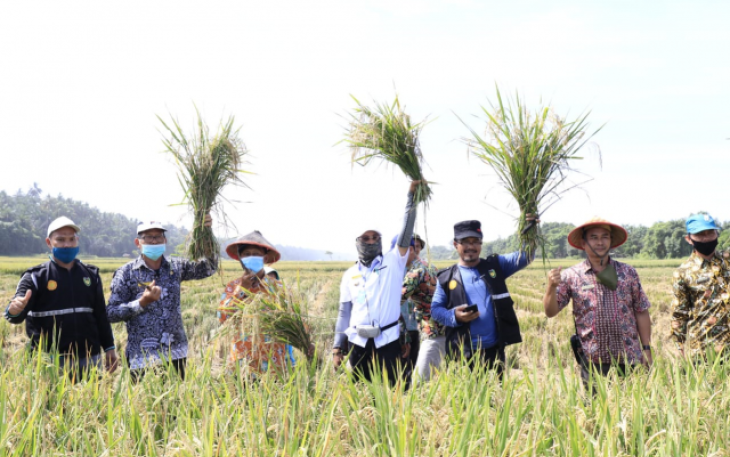 Program Makmur Mampu Meningkatkan Kesejahteraan Petani