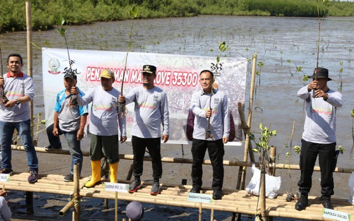 Tanam Ribuan Pohon Mangrove Serentak di Wilayah Sulsel