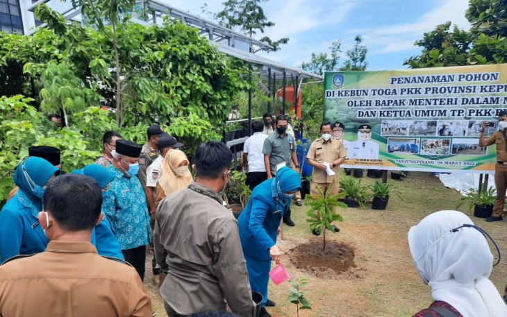 Mendagri RI, Tito Karnavian dan Ketua TP-PKK Pusat, Tri Tito Karnavian, tanam bibit pohon di kebun TP-PKK Kepri