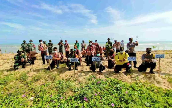 Cegah Abrasi Laut, Tanam Mangrove di Desa Margosuko Kecamatan Bancar Tuban 