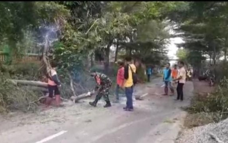 Anggota Koramil Ngrambe Gotong-royong Tebang Pohon Rawan Tumbang