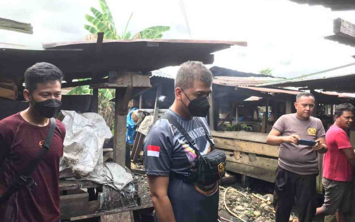 Cek Ketersediaan Bahan Baku Pakan Babi