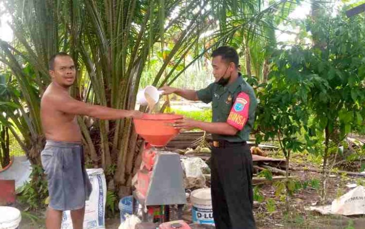 Serka Anwar dampingi petani memaksimalkan hasil panen padinya. Kamis (21/4/22)