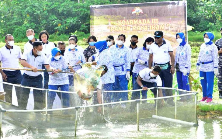 Ketua DJA III (pegang jaring) panen raya ikan di kolam Koarmada III. Jum'at (22/4/22)