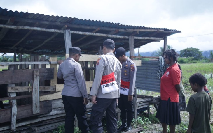 Sambangi keluarga Ulius Kogoya cek perkembangan ternak babi di Kenyam Kab.Nduga. Selasa (17/05/2022)