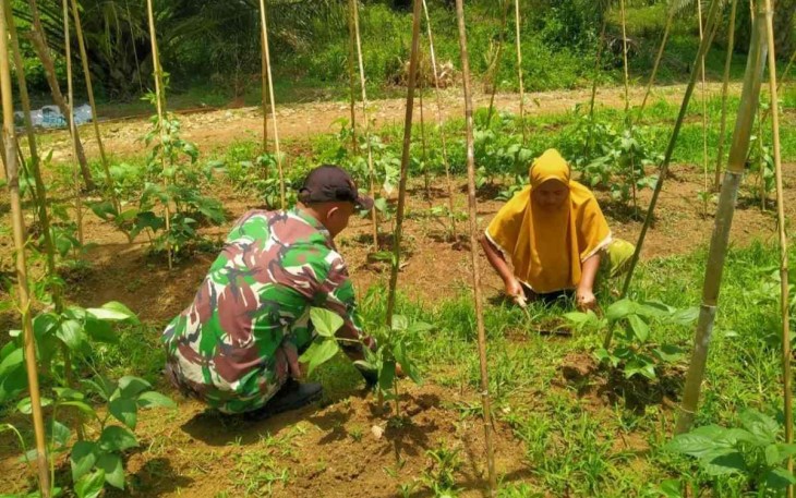 Berkebun bersama warga di perbatasan 
