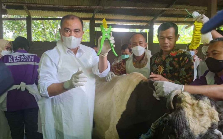 Dirjen PKH saat memberikan vaksinasi PMK hewan ternak di peternakan sapi perah dusun Tanjunganom Kabupaten Sidoarjo di 