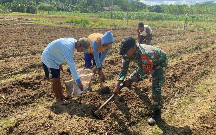 Satgas perbatasan siapkan lahan ketahanan pangan