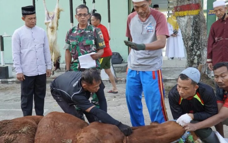 Danrem 081/DSJ saat mengikuti proses penyembelihan hewan kurban di Makorem