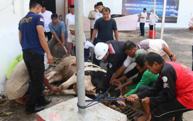 Penyembelihan hewan qurban di kantor kanwil kemenkumham Banten