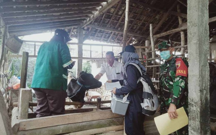 Vaksinasi PMK ternak warga binaan