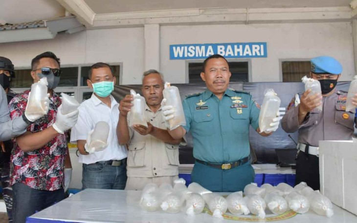 Danlanal Banyuwangi saat keterangan pers benih Lobster 