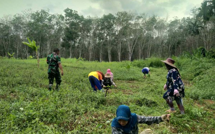 Pembukaan lahan Porang bersama warga di desa Mungkur Raya
