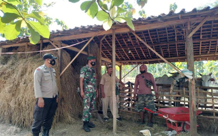 Pendataan vaksinasi ternak sapi warga binaan