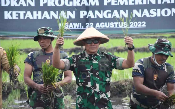 Danrem 081/DSJ Kolonel Inf Deni Rejeki saat tanam padi di Ngawi