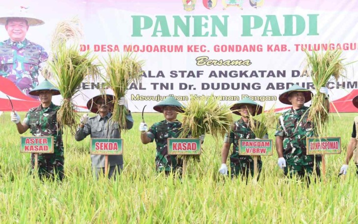 Kasad Jenderal TNI Dudung Abdurachman panen raya padi di Kabupaten Tulungagung Jum'at (7/10)