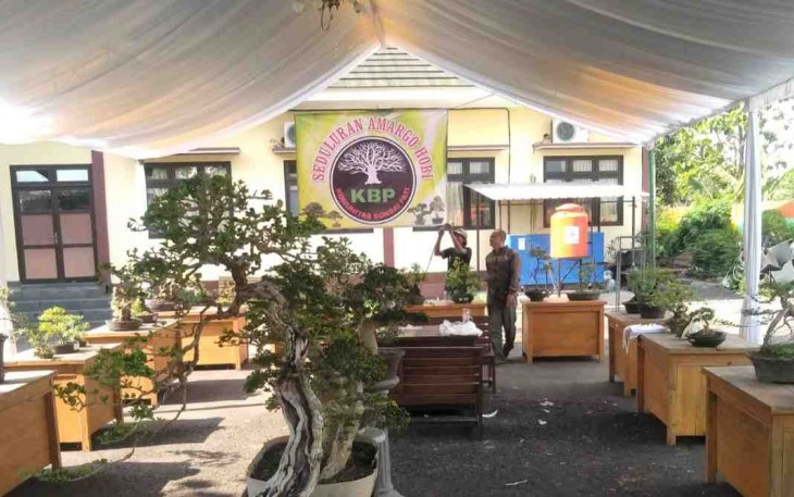 KBP salah satu stand di Pragolo Pati Festival  dengan produk tanaman bonsai 