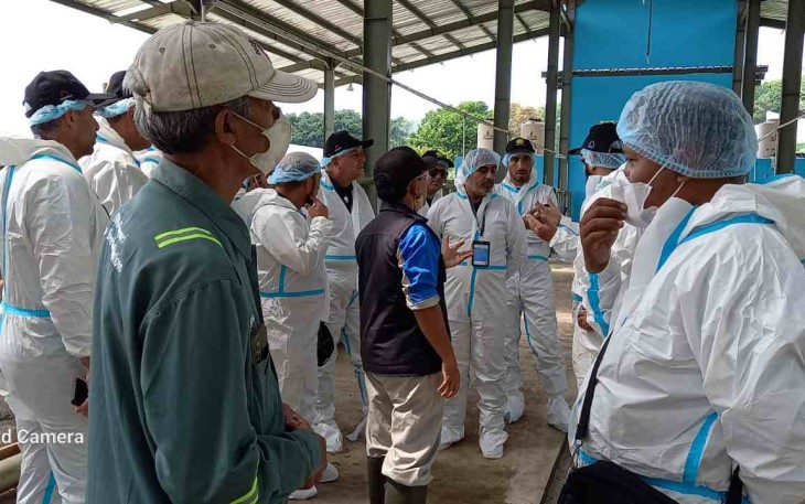 Partisipan asal Palestina saat berkunjung di komplek pejantan unggul BBIB Singosari, Rabu (14/12/2022).