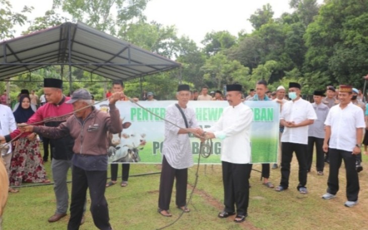 Penyerahan sapi kurban oleh Kapolda Bengkulu dan jajaran kepada panitia.