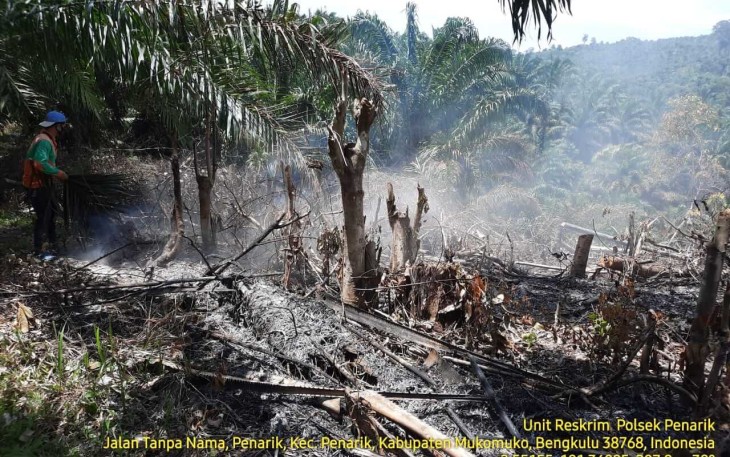 1 Hektar Lahan Terbakar di Mukomuko