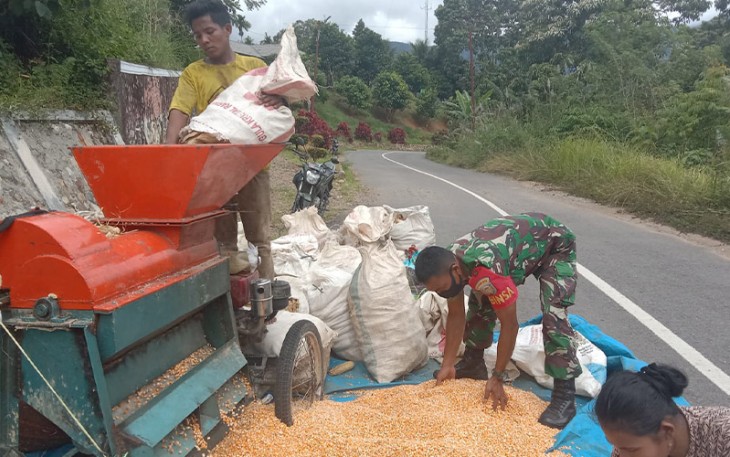 Serda Idinsyah saat membantu petani merontokan jagung hasil panen