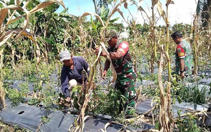 Babinsa Koramil 1710-07/Mapurujaya Rutin Komsos Bersama Warga Binaan