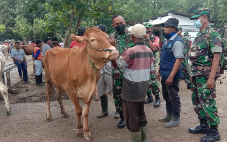 Dandim 0805/Ngawi Letkol Inf Adi Wirawan saat sidak vaksinasi PMK di pasar hewan Ngawi