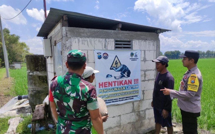 Himbauan Tidak Memasang Jebakan Tikus Berarus Listrik